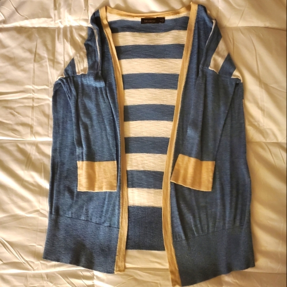 The Limited - blue sweater